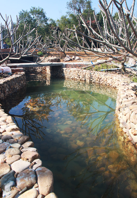 龙门沙迳私家鱼池